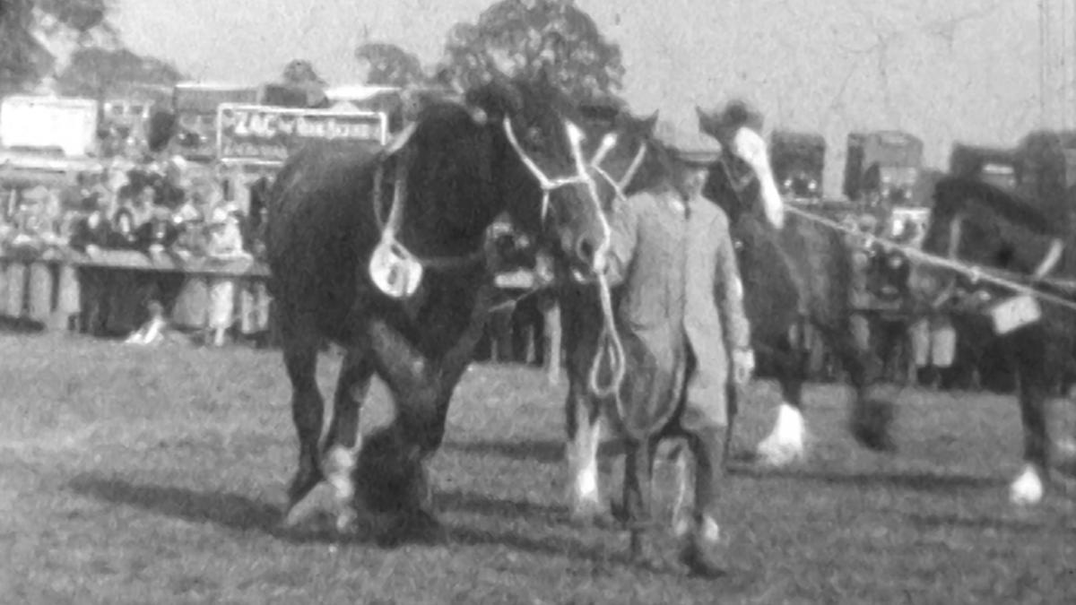 Watch Ashbourne Horse Show 1936 online BFI Player