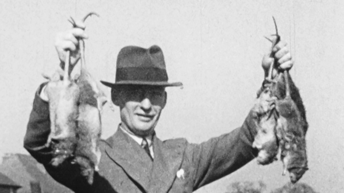 Watch The Solihull Rat Club online - BFI Player