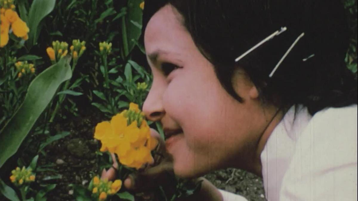 Free Films On Bfi Player