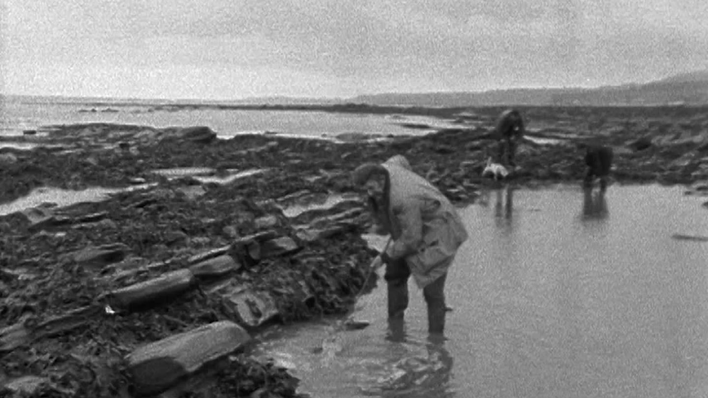Watch Gladding at Watchet online - BFI Player