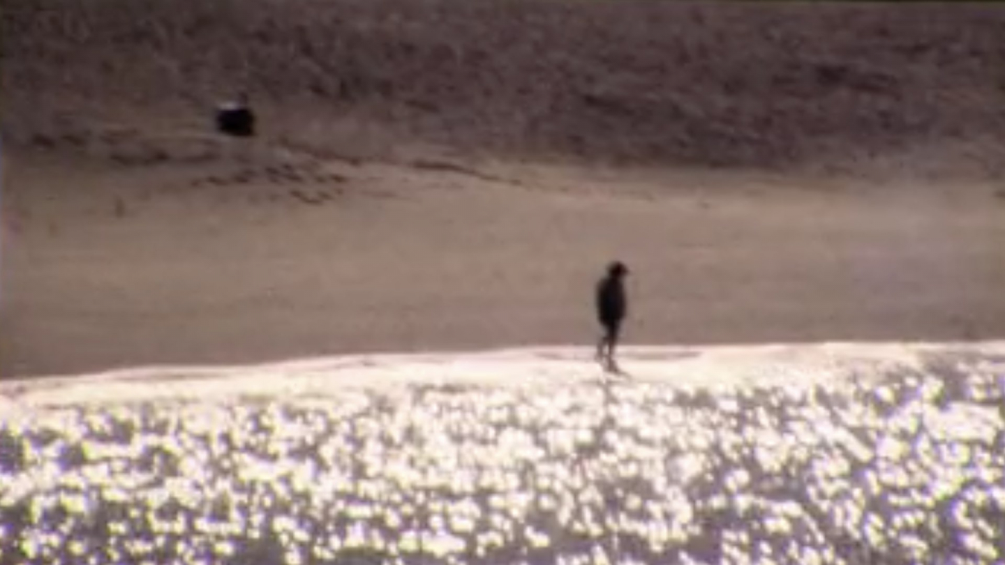 Watch By the Time It Gets Dark online BFI Player