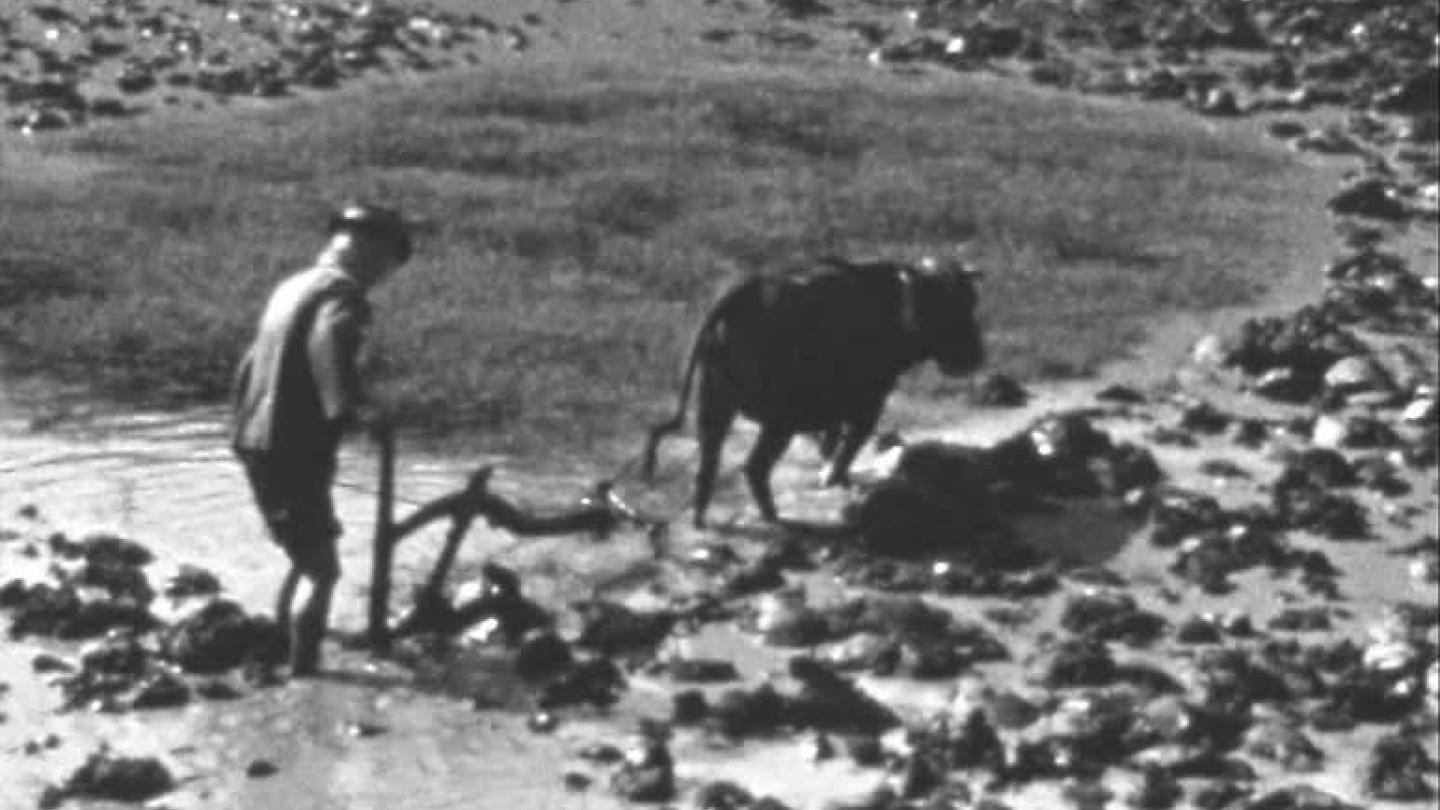 Watch Hong Kong c.1938 online BFI Player