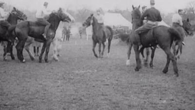 Watch Borough of Reigate's Centenary Film 1963 online - BFI Player