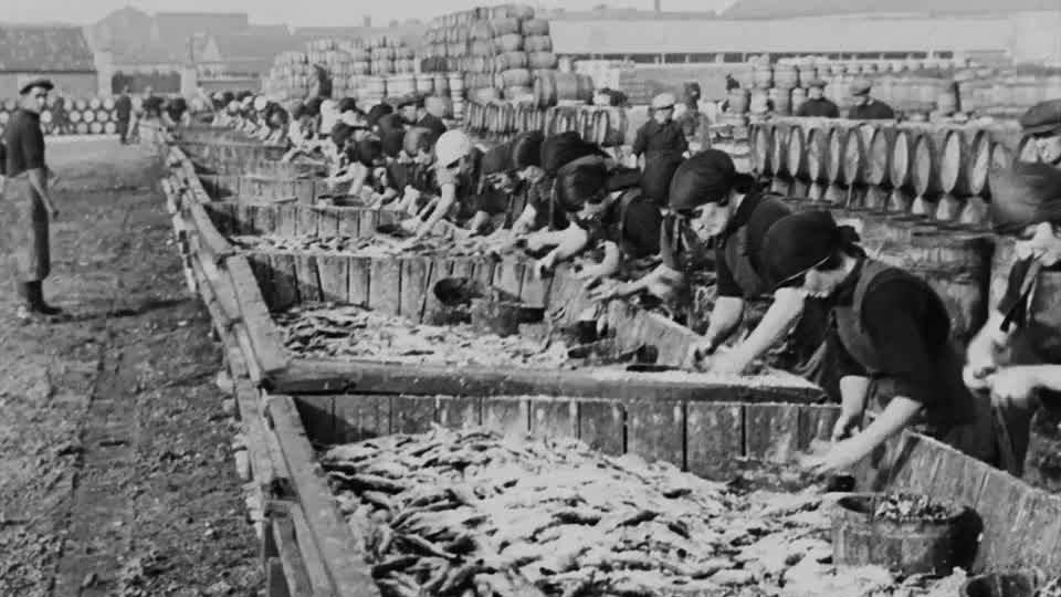 Watch Herring Harvest online BFI Player