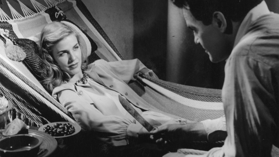 WATCH WATERSHIP DOWN FILM visual data 4